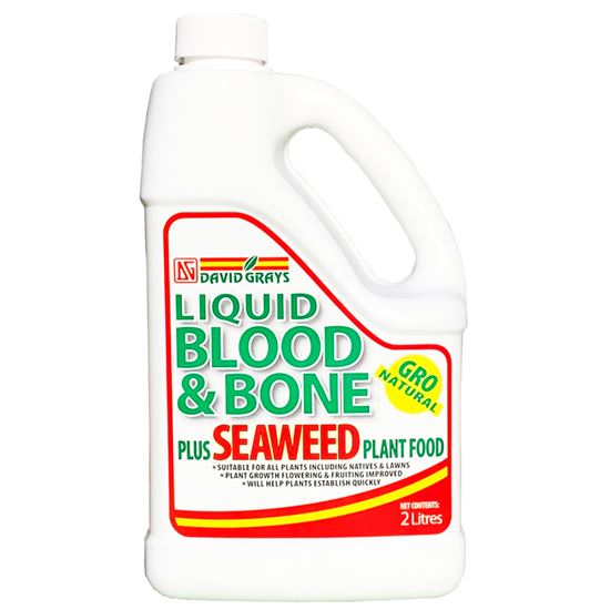 Liquid Blood & Bone
