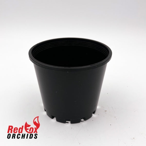 100mm Squat Plastic Pot