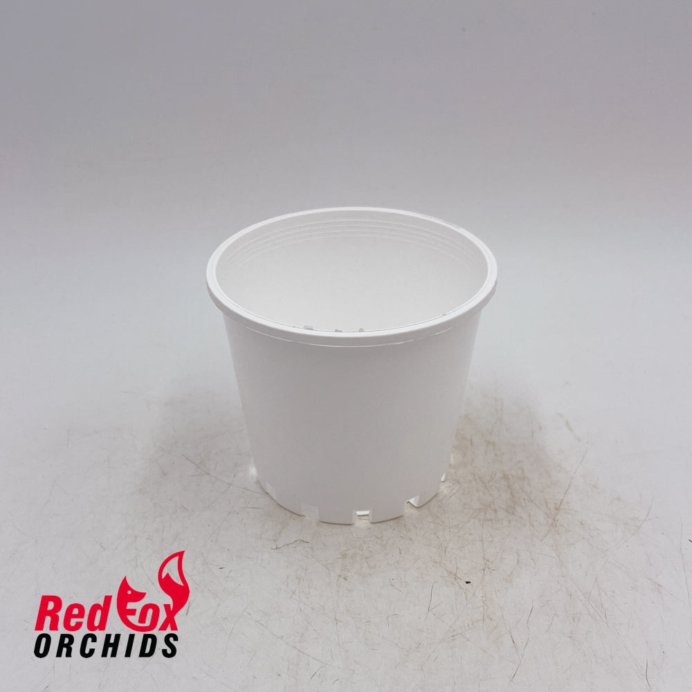 100mm Squat Plastic Pot