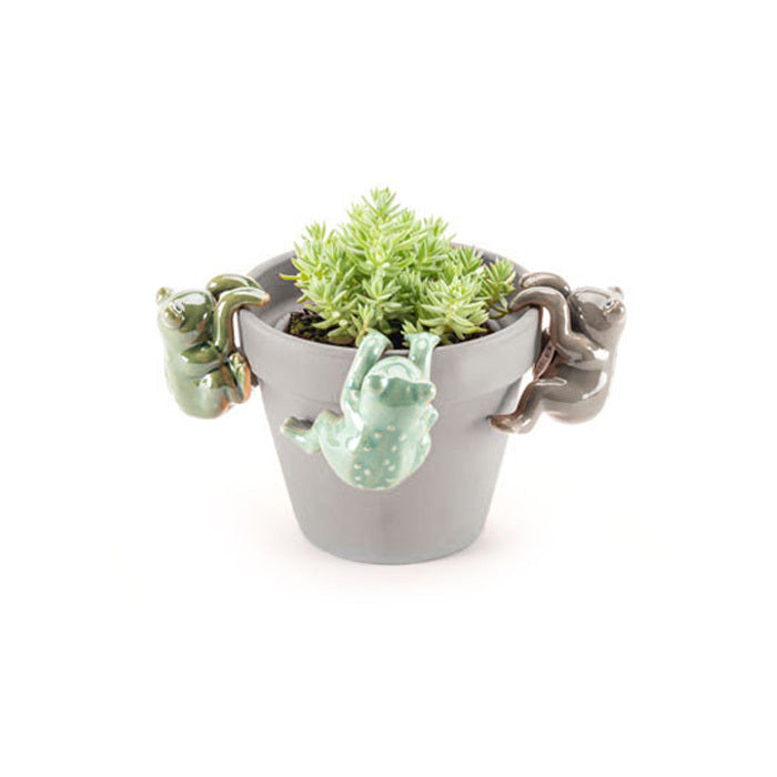 Frog Pot Sitters