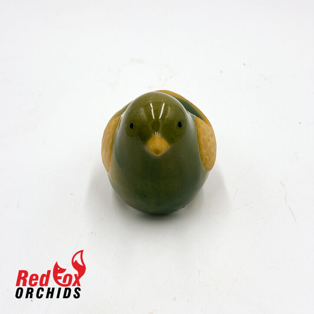 Bird Pot Feet
