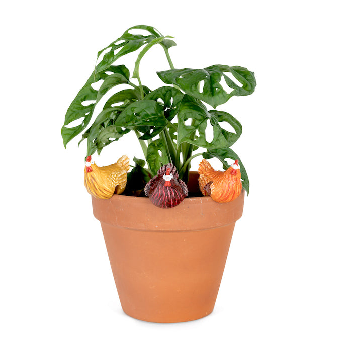 Chicken Pot Sitter