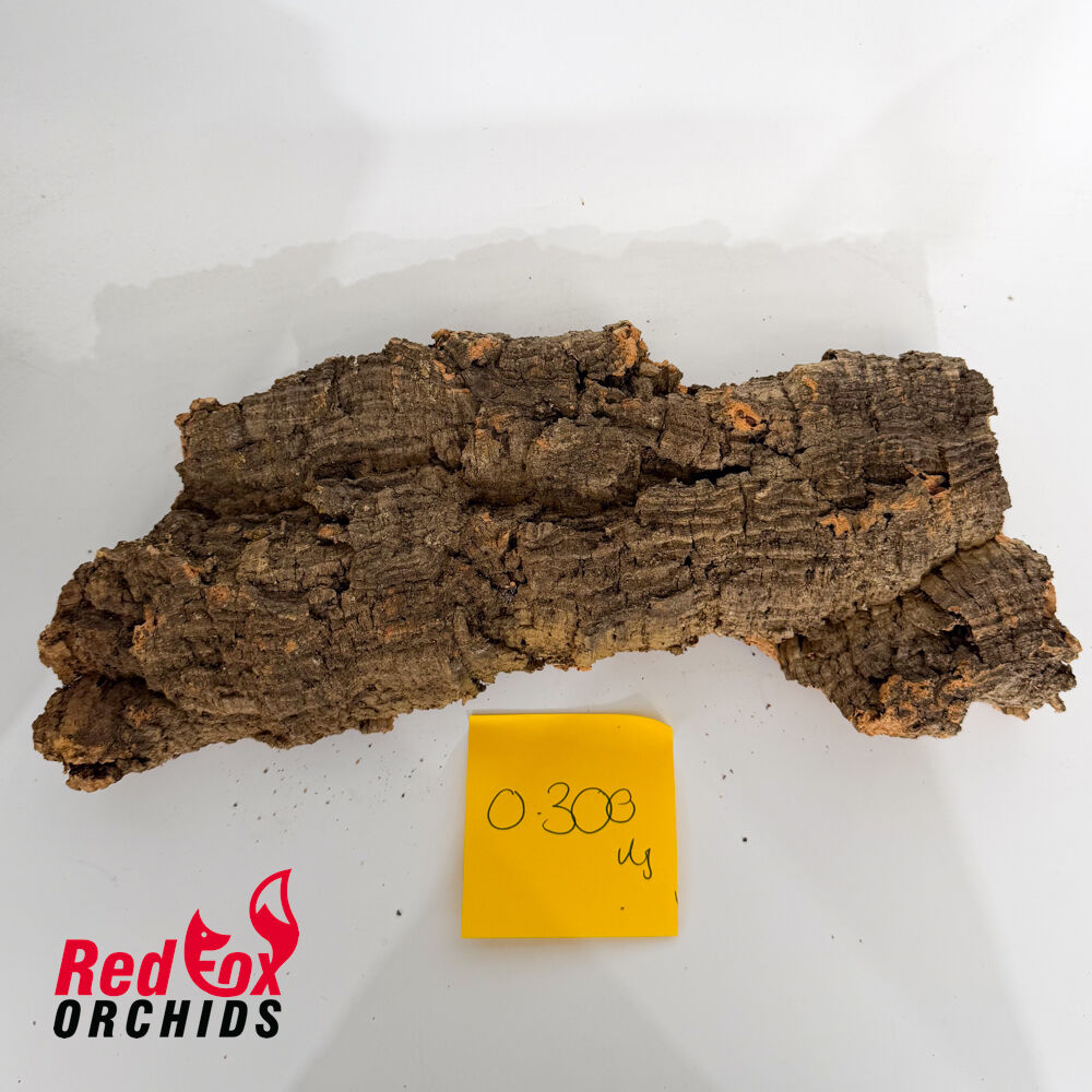 Portuguese Cork