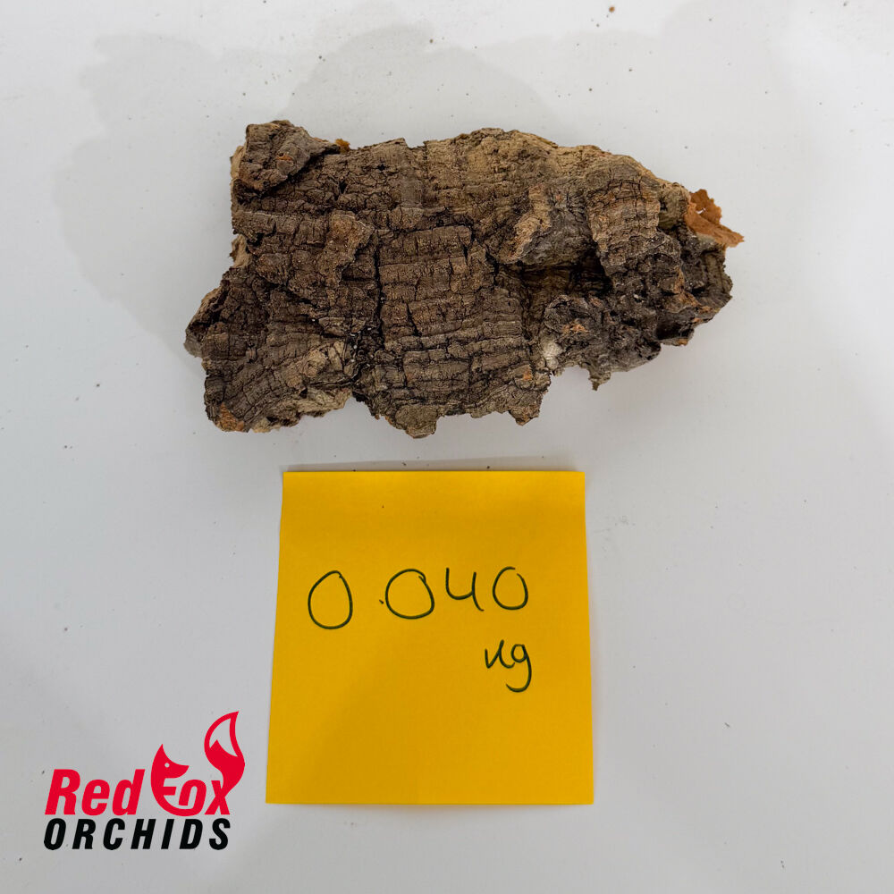 Portuguese Cork
