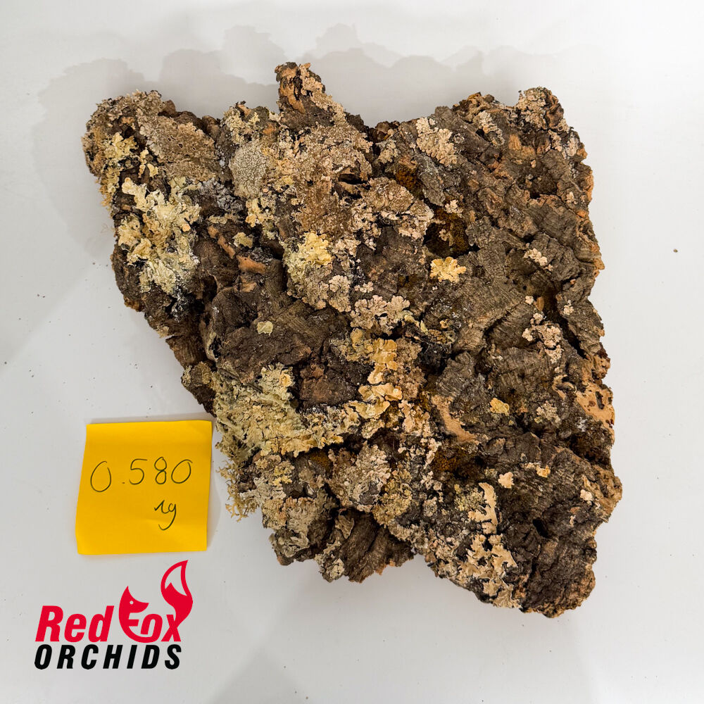 Portuguese Cork
