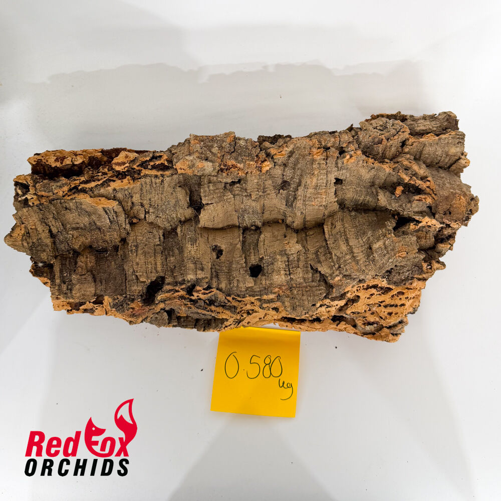 Portuguese Cork