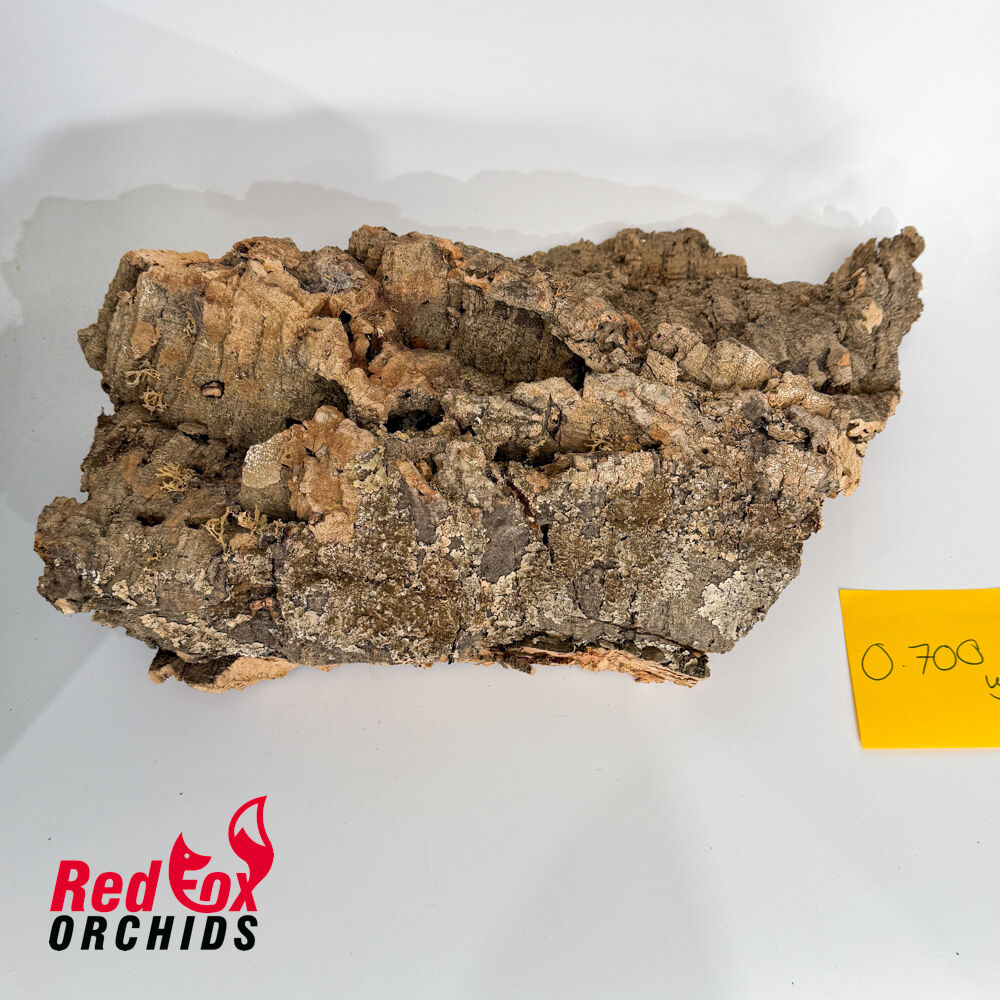 Portuguese Cork