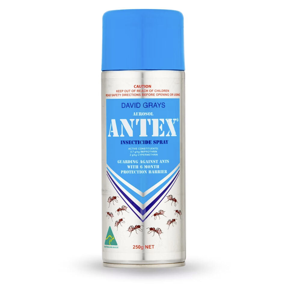 Antex Aerosol 250g