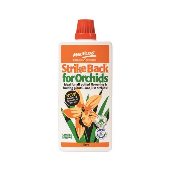 Strike Back for Orchids