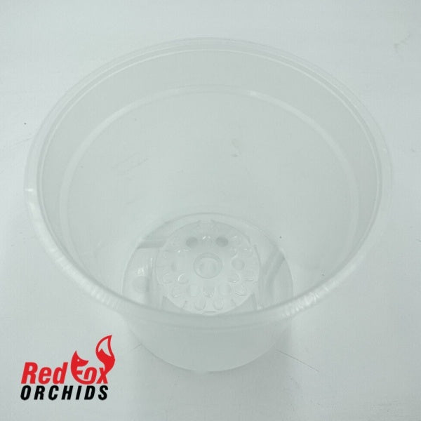 150mm Teku Clear Phalaenopsis Pots