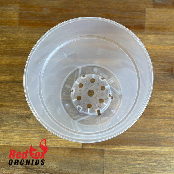 120mm Teku Clear Phalaenopsis Pots