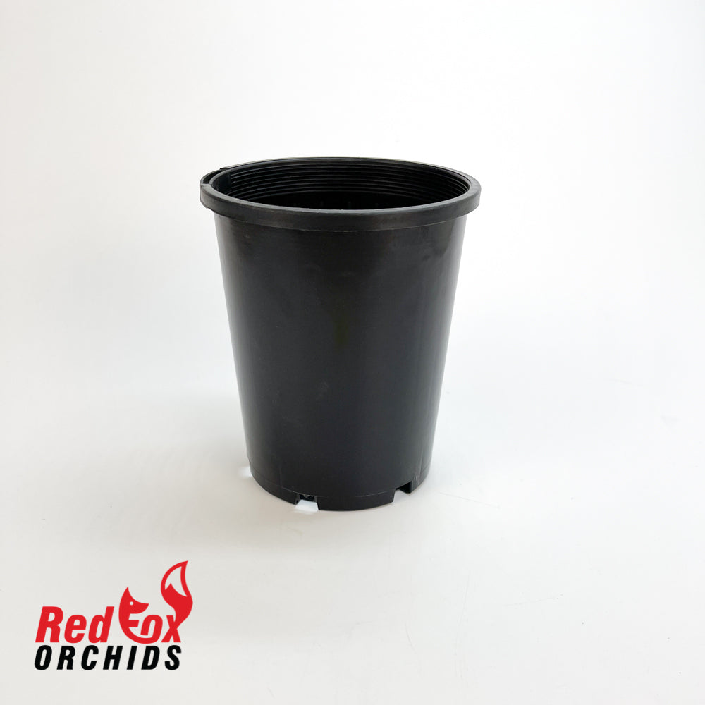 100mm Maxi (TL) Black