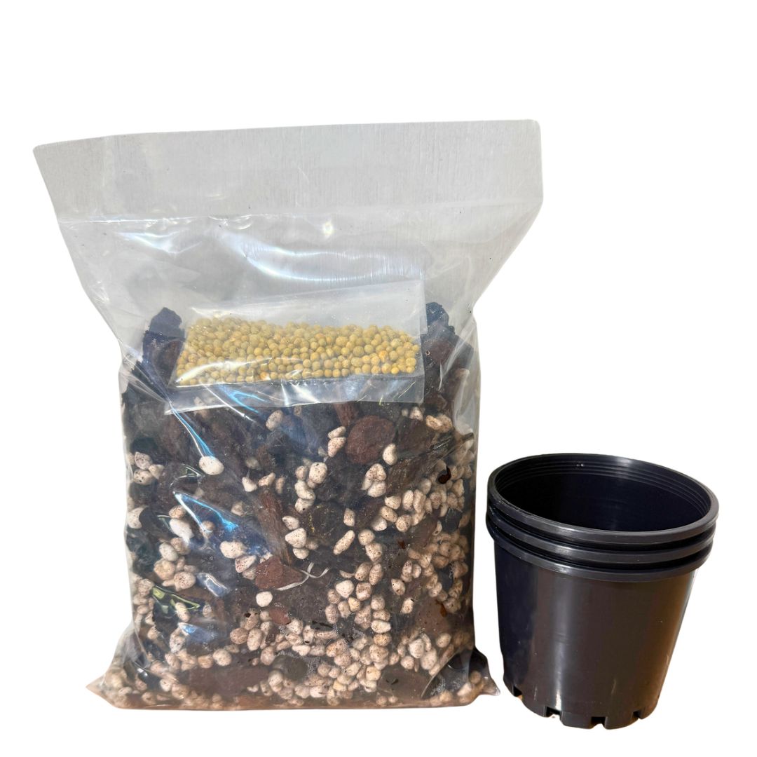 Specialty Cattleya Orchid Potting mix and 100mm pots for Red Fox Orchids Starter Pack