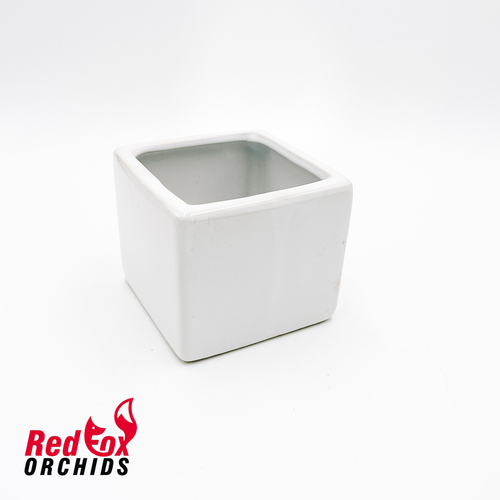 Square Ceramic White pot