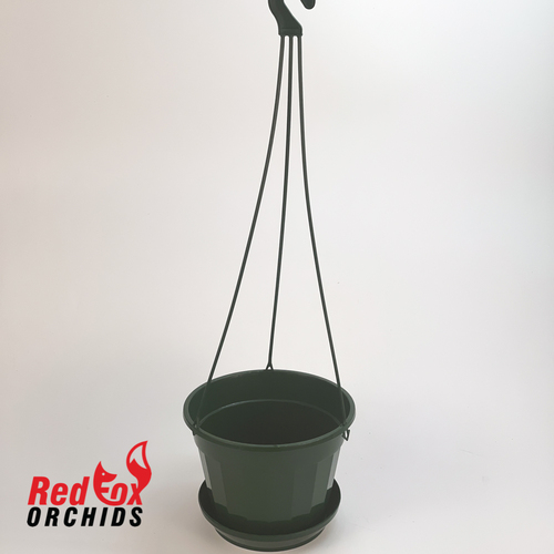 140mm Jade Hanging Pot complete with Hanger and Saucer