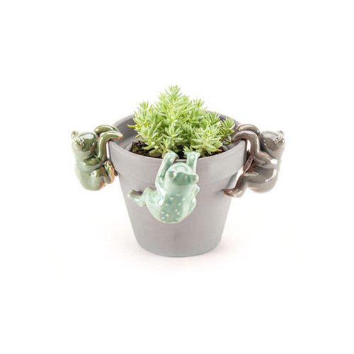 Frog Pot Sitters
