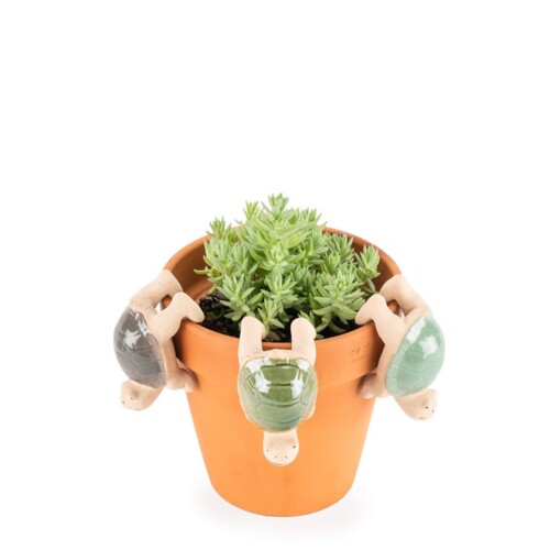 Turtle Pot Sitter