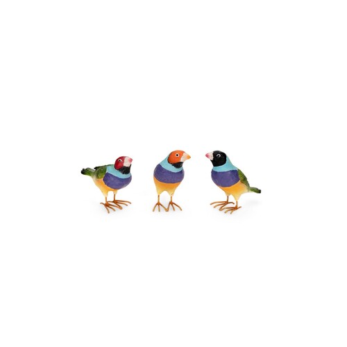 Gouldian Finch Small