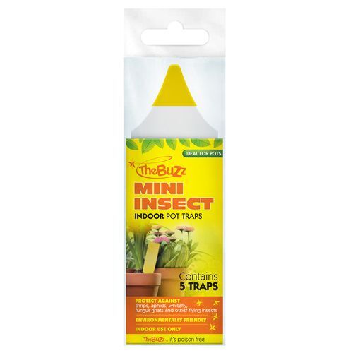 The Buzz Mini Insect Trap