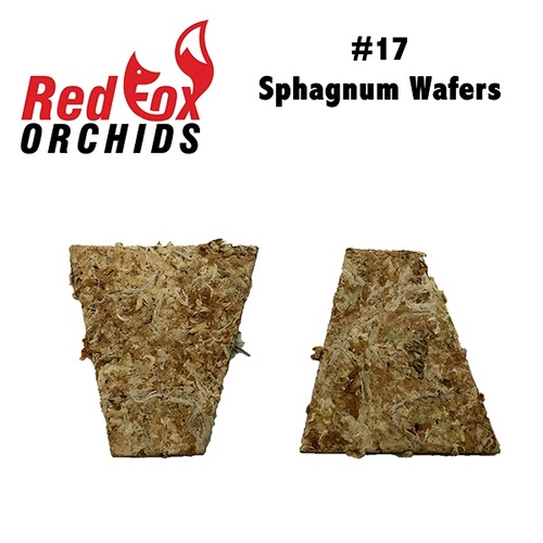 #17 Sphagnum Wafers in pack of 60 wafers
