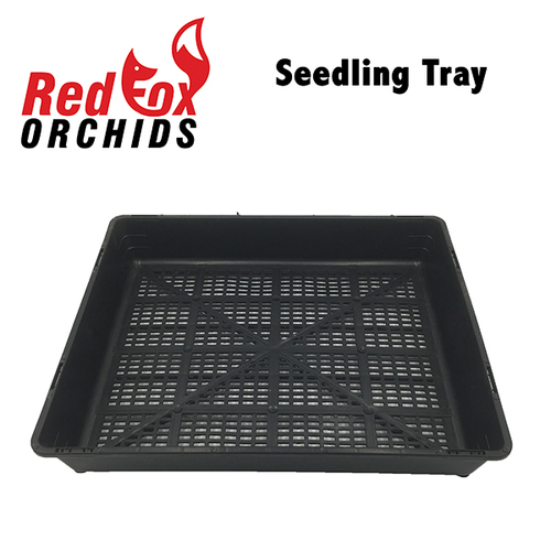 Seedling Tray