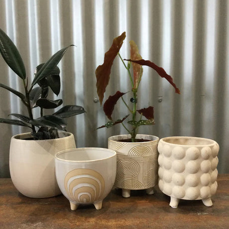 Display Pots