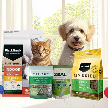 Pet Food