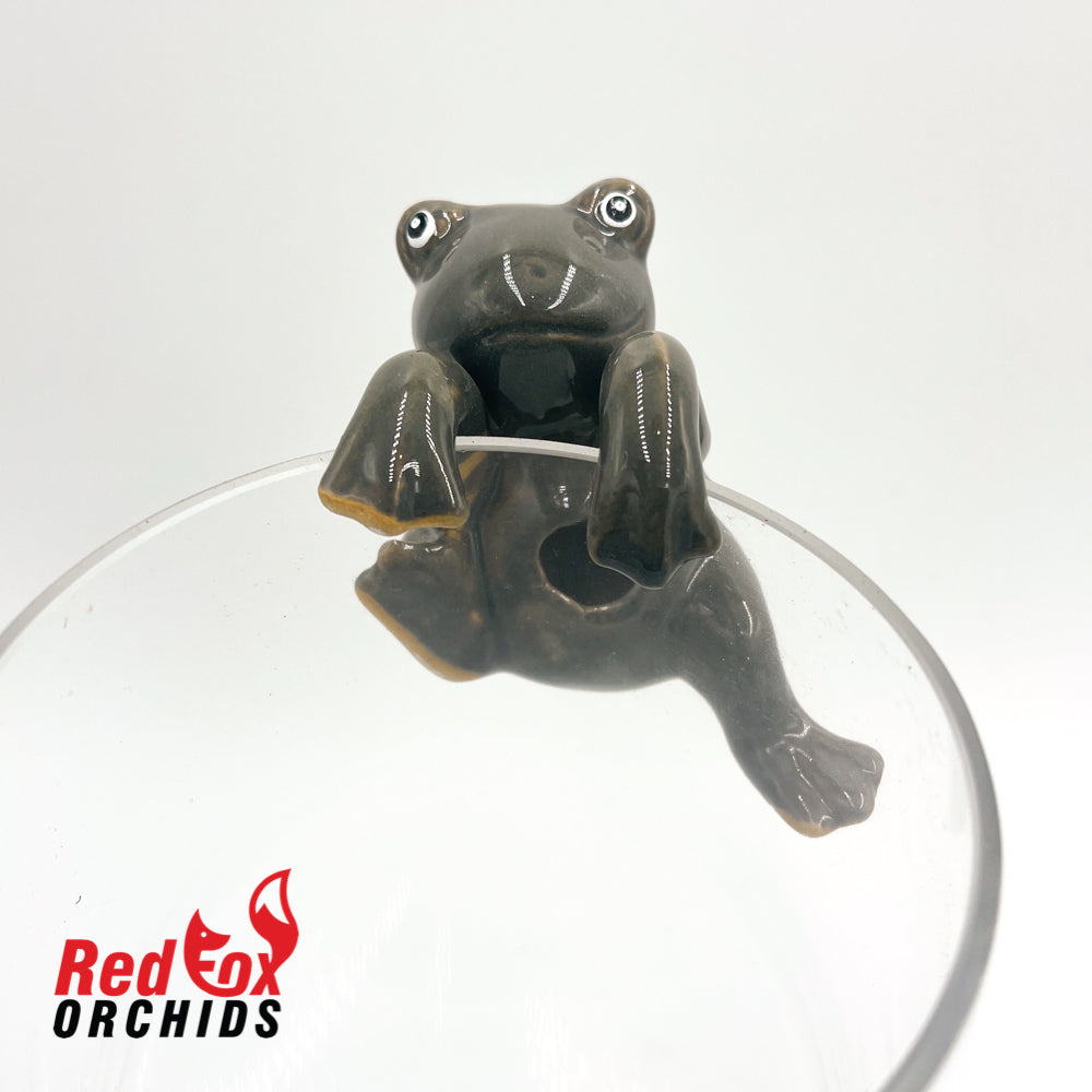 Frog Pot Sitters
