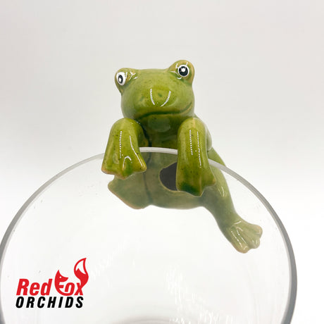 Frog Pot Sitters