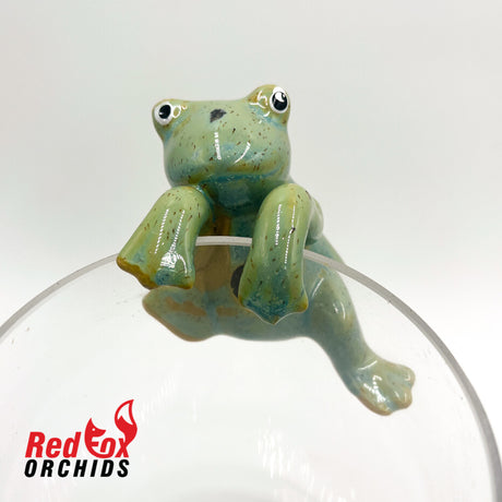 Frog Pot Sitters