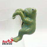Frog Pot Sitters