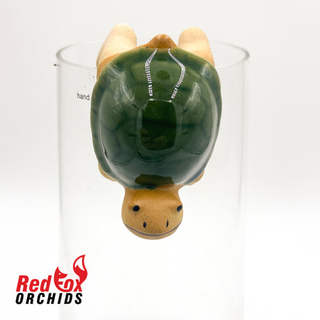 Turtle Pot Sitter