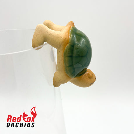 Turtle Pot Sitter