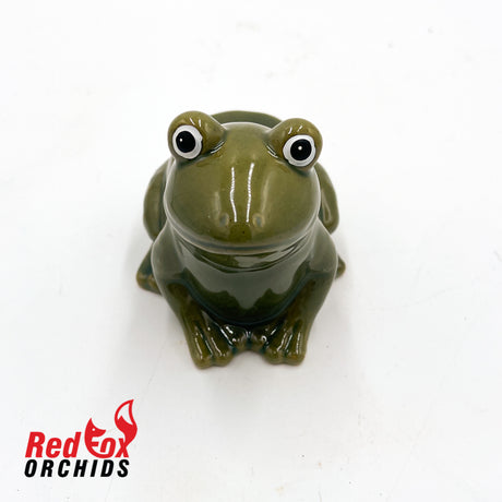 Frog Pot Feet