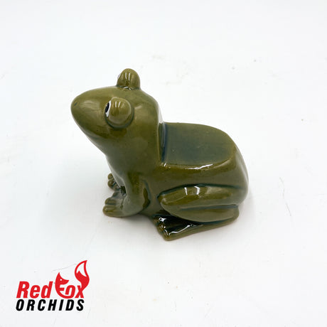 Frog Pot Feet