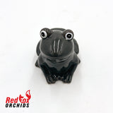 Frog Pot Feet