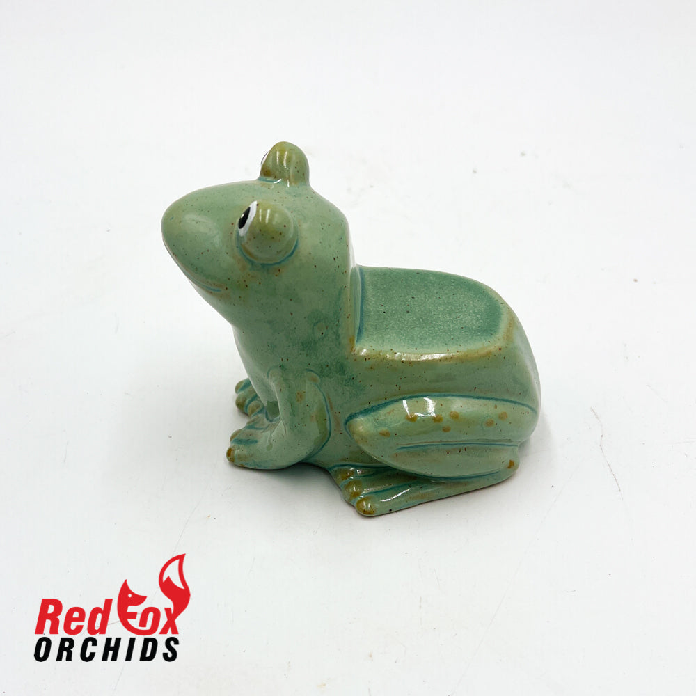 Frog Pot Feet