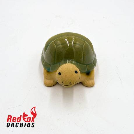 Turtle Pot Feet