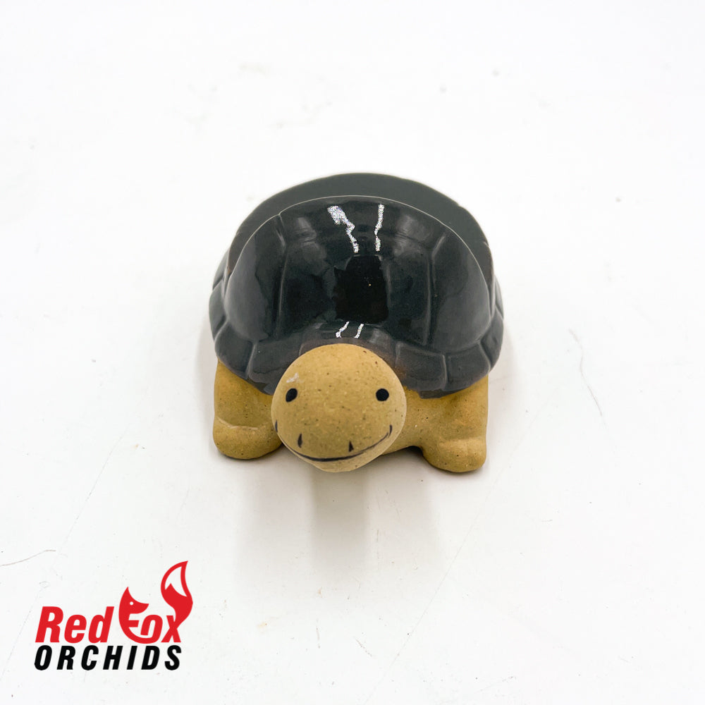 Turtle Pot Feet