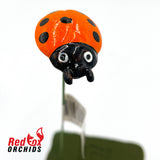 Ladybug on a stick