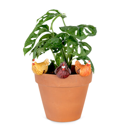 Chicken Pot Sitter