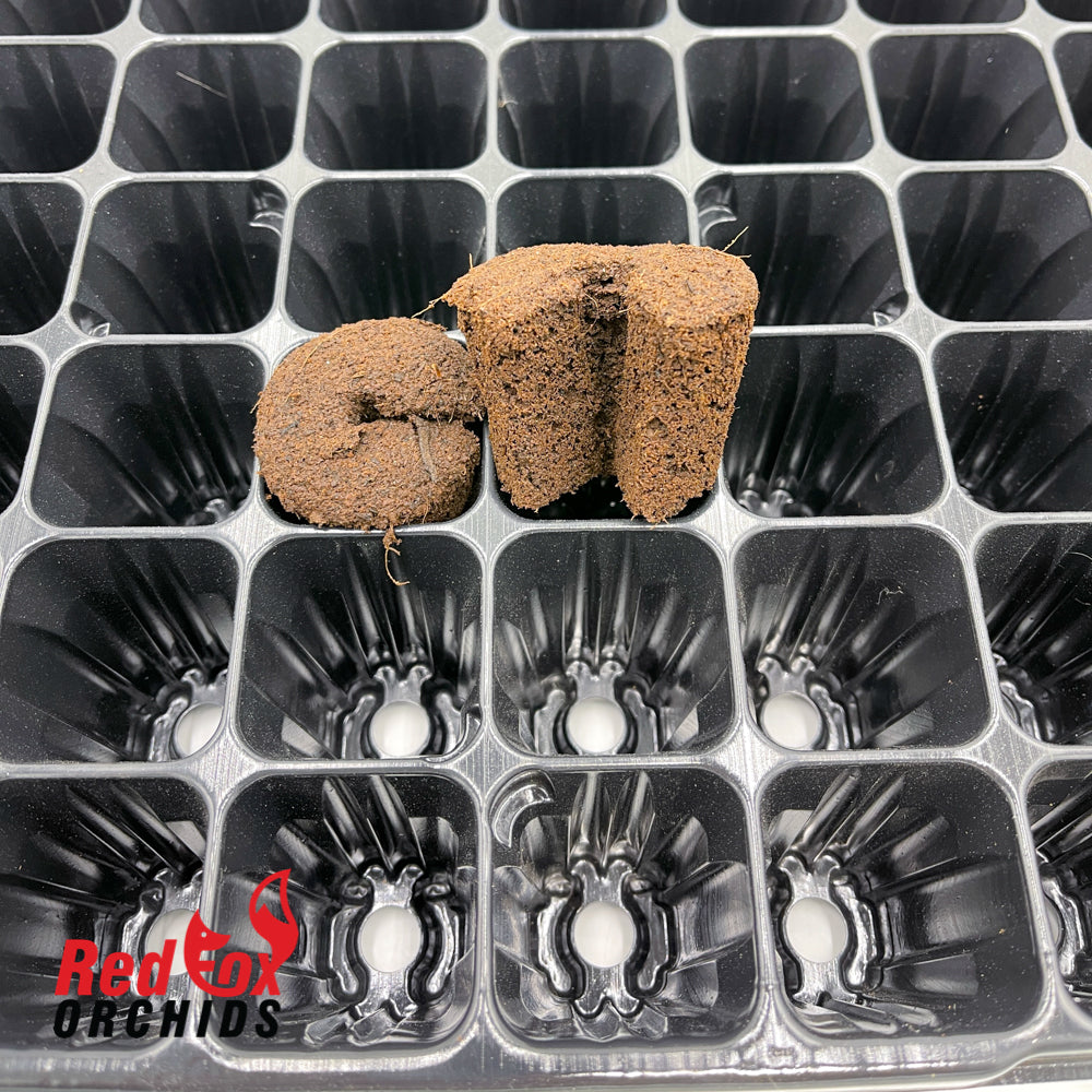 Coir Plug 40mm