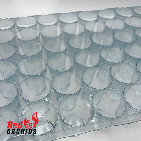 60 cell plug tray clear