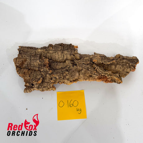 Portuguese Cork