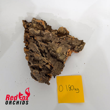 Portuguese Cork