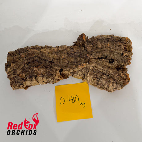 Portuguese Cork