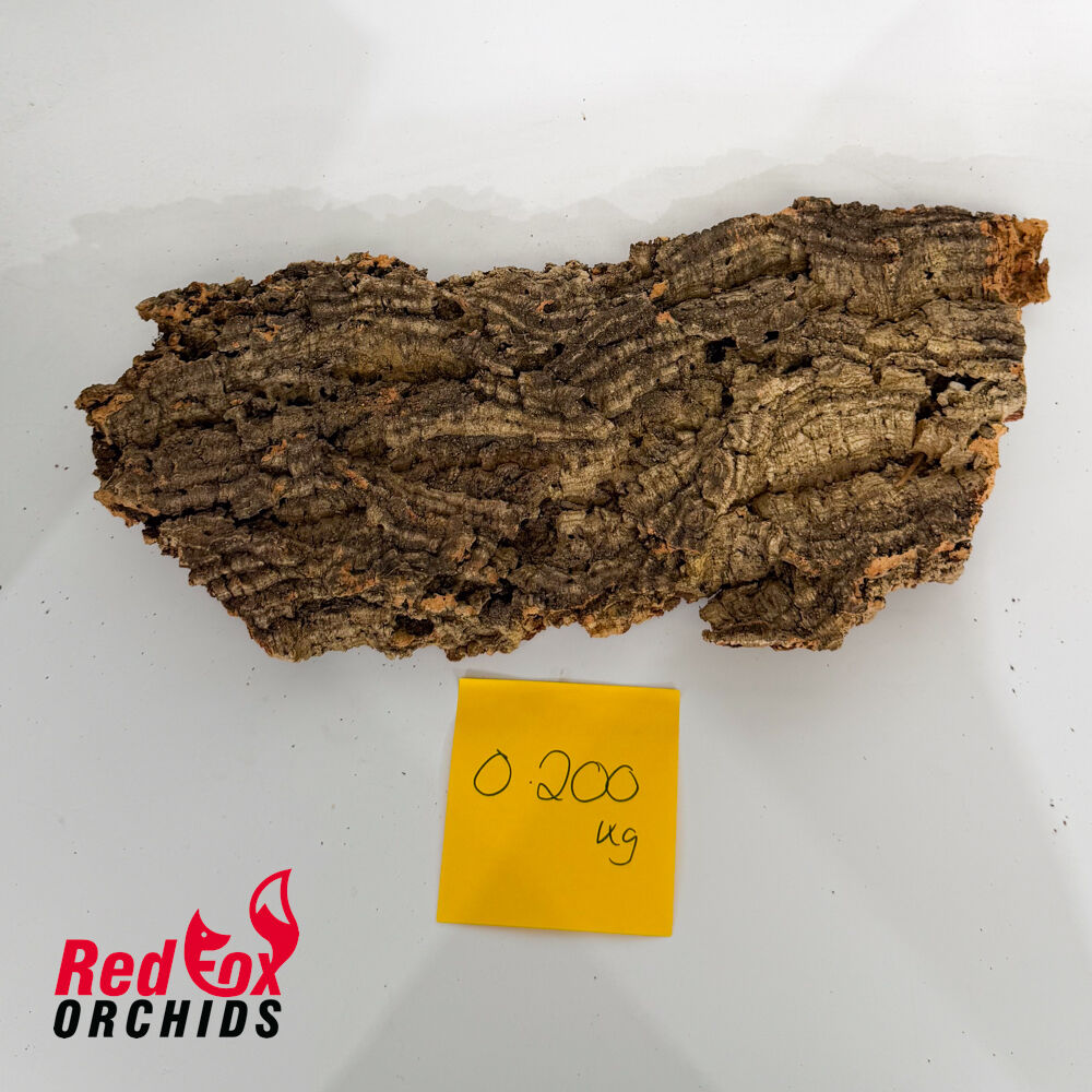 Portuguese Cork