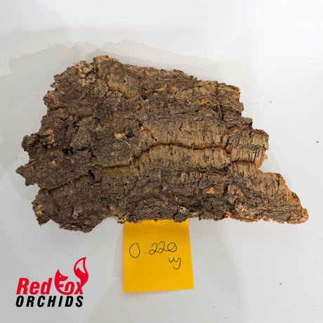 Portuguese Cork