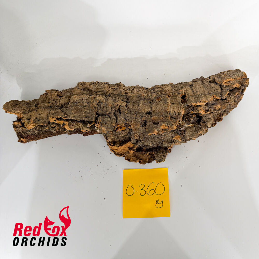Portuguese Cork