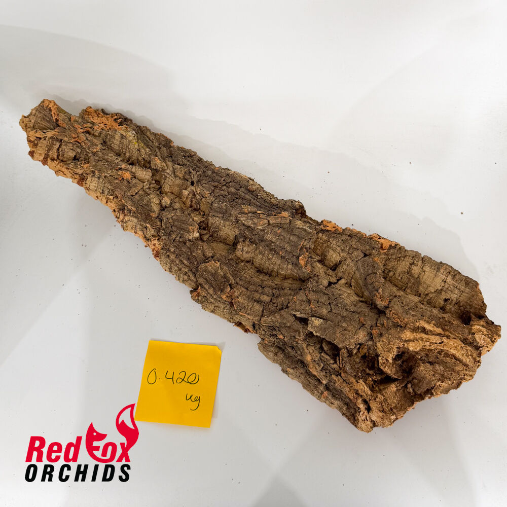 Portuguese Cork